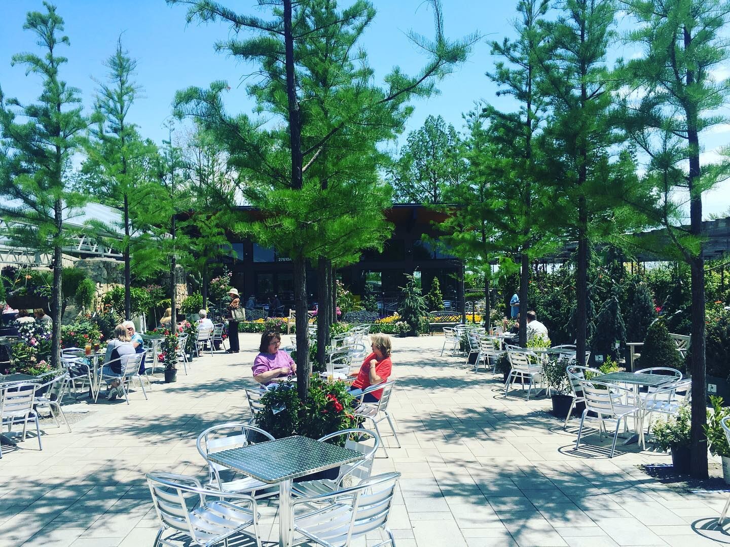 Bean Counter Café